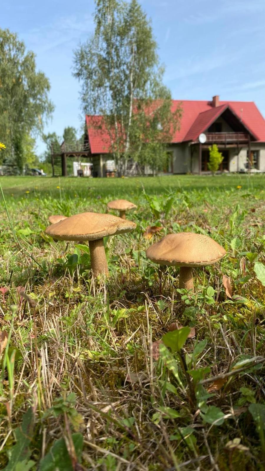 Anielski Zakatek Kolonia Rybacka Exterior photo